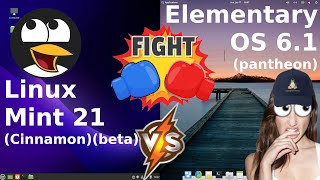 Linux Mint 21 vs Elementary OS 6.1