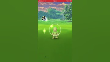 Found shiny Machop in Pokémon Go