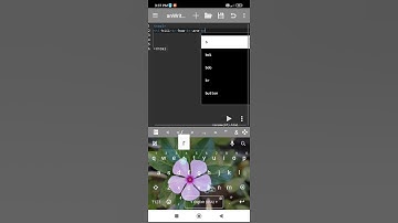 14/100 tricks | html tag | html coding |coding video | Coding with amit | html, css and javascript