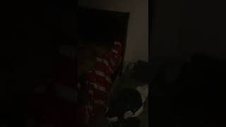 Myles Went Swimming With The Fishes