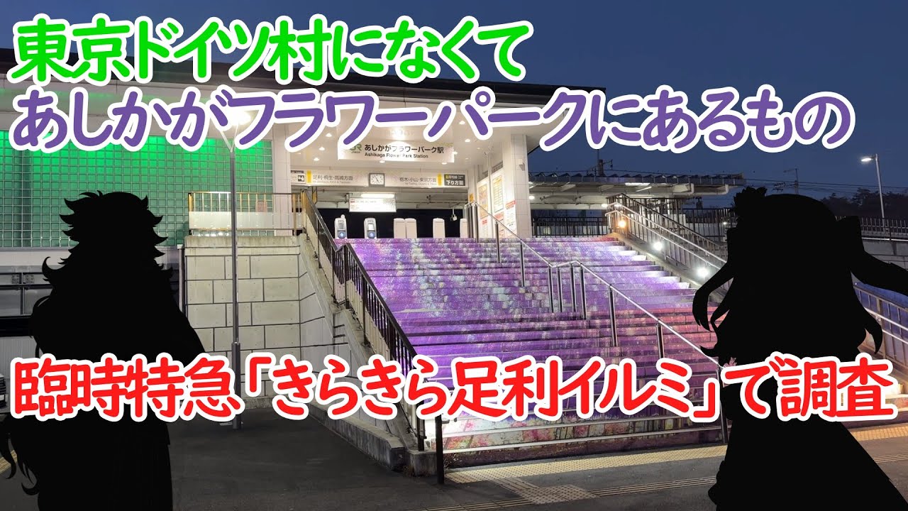 臨時特急きらきら足利イルミ号であしかがフラワーパークへ乗り換えなしの鉄道旅