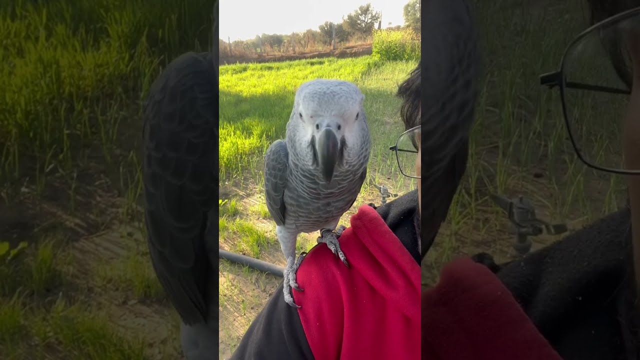 Kuku Trying to say Radhe Radhe  