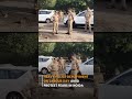 Noida हाई अलर्ट पर, Labour Day पर Section 163 लागू