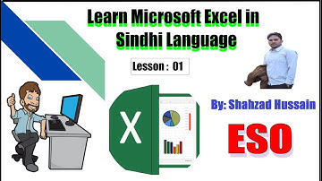 MS-Excel | Overview and Percentage Calculation | Lesson 01 | ESO-Sindh