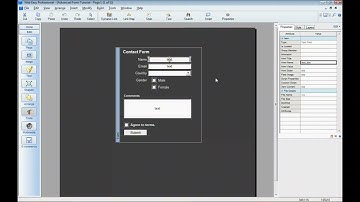 Geavanceerde formuliertutorial deel 1 voor WebEasy Professional 8 | Avanquest