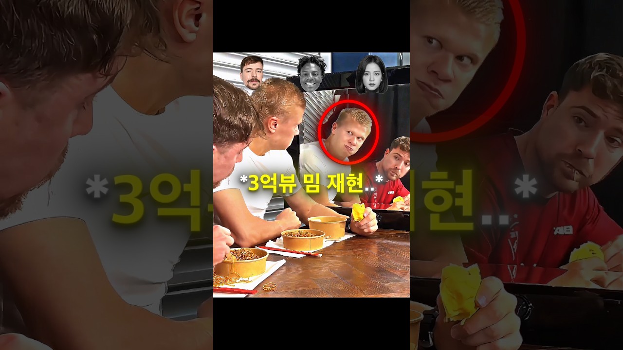 홀란드 vs 미스터비스트&스피드&블랙핑크 지수