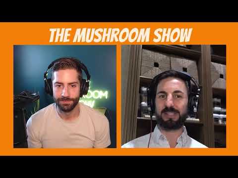 Gut-Brain Connection & Functional Mushrooms Explained | Dr. Jonathan Fields & FreshCap Panel Recap
