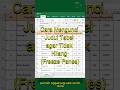 JUDUL TABEL NEMPEL TERUS! 📌 Trik Freeze Panes Excel (Day 16) #excel #exceltips #tutorialexcel