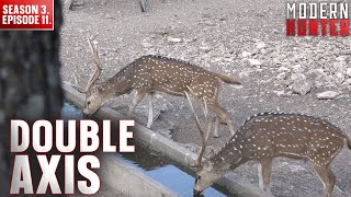 Double Axis | Modern Hunter