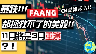 CK投資理財|美股3月來跌最慘!跡象表明我們正在經歷3月!!!FAANG無法拯救的美股!期待藍色波浪？2020.10.31