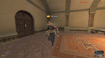 FFXI: Uncapped framerate