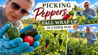 Picking Peppers in the Garden 🌶️ | Fall Garden Wrap-Up Is Underway!