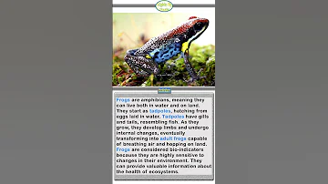 Facts About Frogs Shorts 