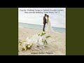 Marry Me (Instrumental Version)