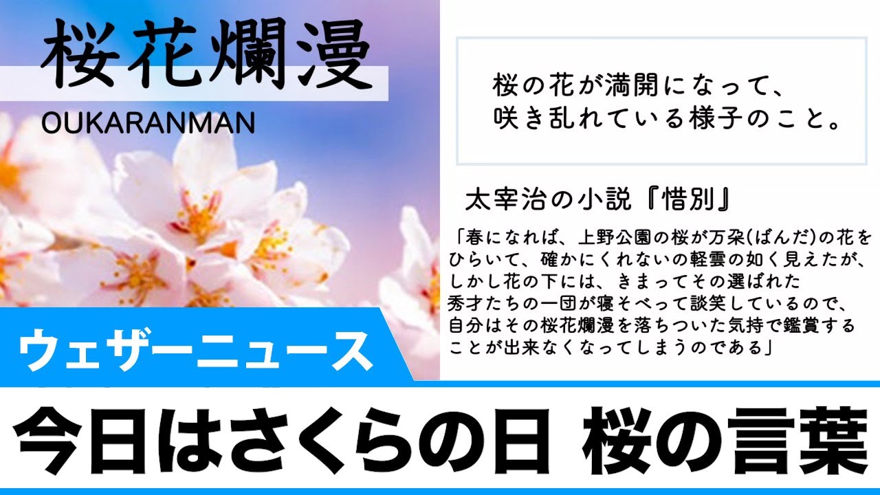 今日は さくらの日 桜の言葉 さくらの日 Youtube 今日は さくらの日 桜の言葉 さくらの日 Youtube