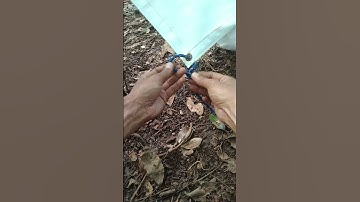 Tarp  Corner  Knot  ⛺  Simple  But  Work  Well #knot #camping #shorts