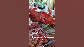 Gealogo Reunion 2024 Foryou Travel 