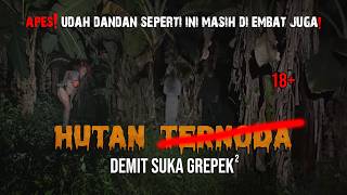 HUTAN PENGHILANG NY4W4 COLABORASI