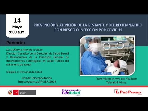 Vídeo: A Través De Los Ojos Del Profesional: Transferencias De Atención Durante El Embarazo, El Parto Y El Período Posparto