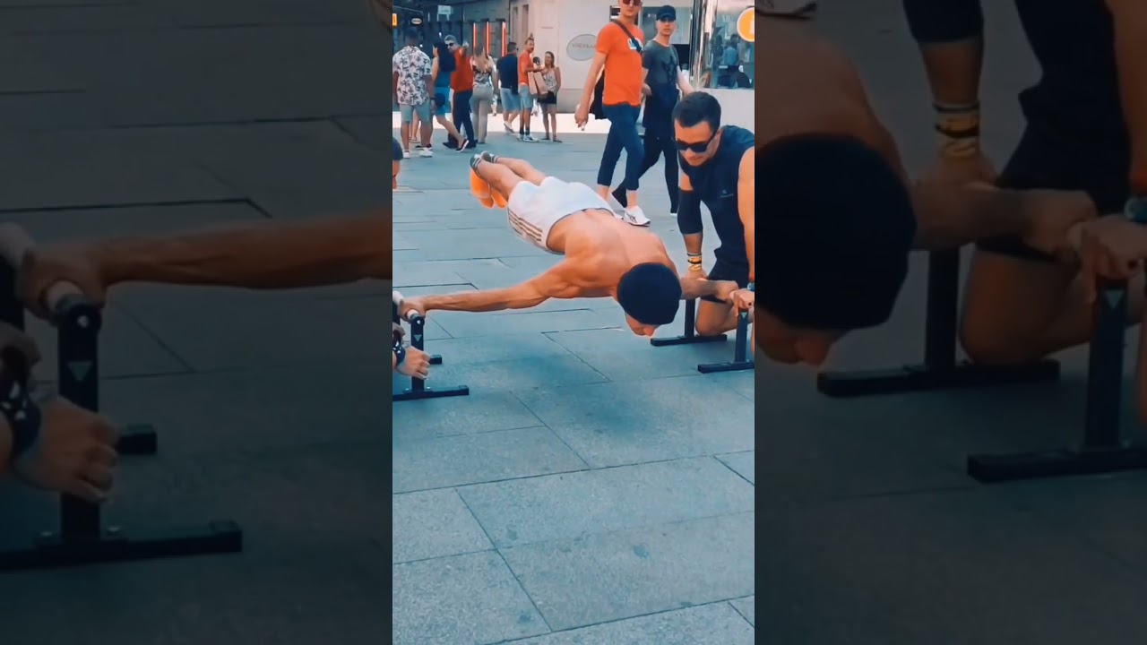 maltese motivation 🔥 