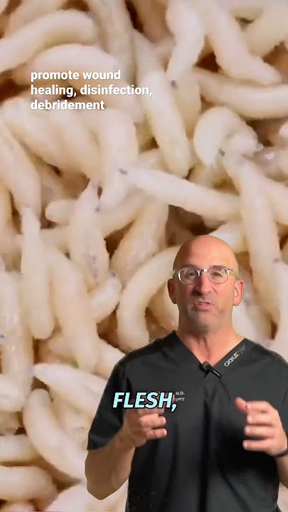 Maggot Therapy Still Saves Limbs #shorts