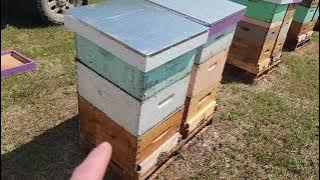 Last nucs for 2025 season MAYBE. 
