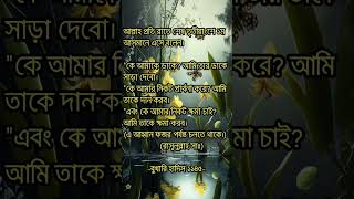 মহান আল্লাহ প্রতি রাতে আমাদের কে ডেকে বলেন |#YouTubeshots #shorts_video #Islamic_status