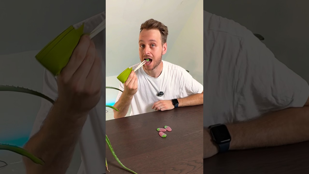 So kann jeder mit Stäbchen essen🍣🥢🥵 