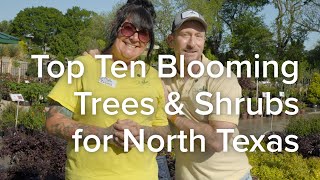 Top Ten Blooming Trees & Shrubs for North Texas - Let's Grow Together