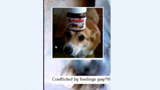 mlg.wmv