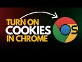 How to Turn On Cookies in Google Chrome (Allow Cookies Easily!)