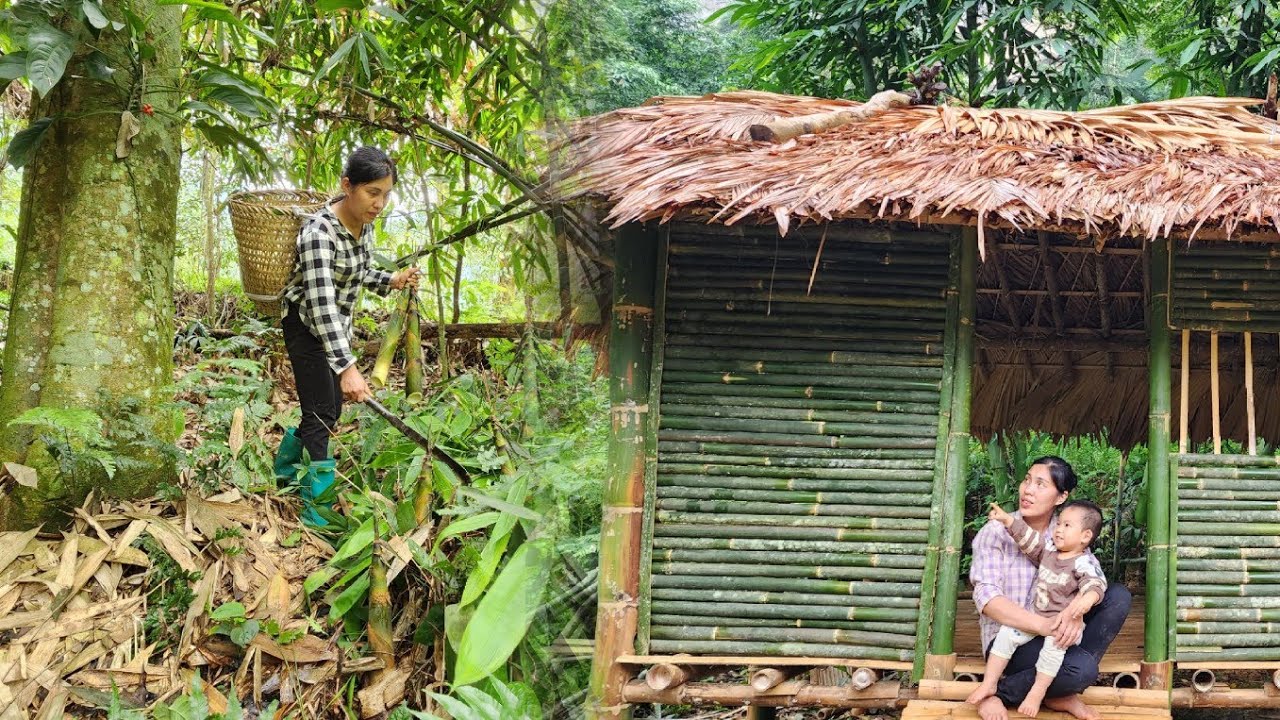 Single Mom Returns to the Old Bamboo House and Creatively Transforms It into a Safe Haven