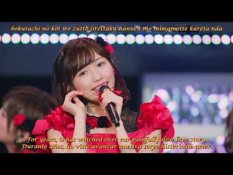 AKB48 2017 Labrador Retriever