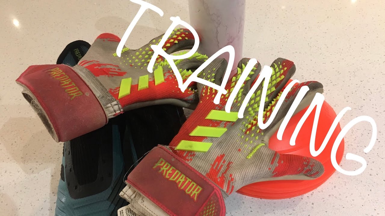 Training tutorial - YouTube