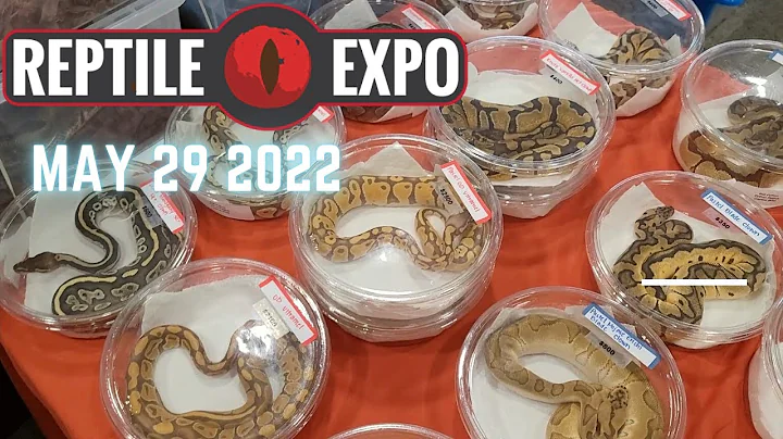 Reptile Expo May 29 2022