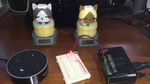 AlexaからRaspberry Pi のGPIOを制御してLEDを点灯させる