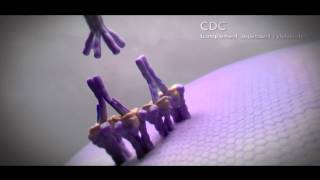 Ocula Reel 2013