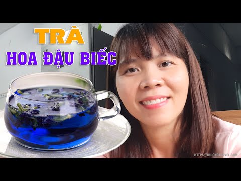 HƯỚNG DẪN CÁCH PHA TRÀ HOA ĐẬU BIẾC - Thức uống tốt cho sức khỏe