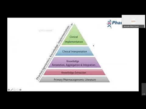 Overview of PharmGKB, CPIC, PharmVar and PharmCAT and their roles in the PGx community