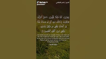 سورة التحريم الشيخ ناصر القطامي