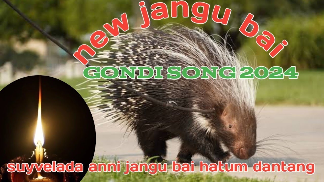 jangu bai suyved sango randu na jodi new gondi song 2024