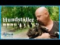 Anders Bagge träffar hundarna på Hundstallet