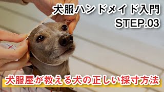 犬服屋が教える犬の正しい採寸方法｜大切な6つのポイント｜犬服ハンドメイド入門｜ゼロからの犬服の作り方＆ショップ運営の基礎｜STEP.03