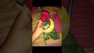 WA-VID-20210729-0347379a