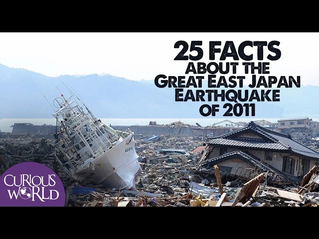 Facts About the Japan Earthquake and Tsunami of 2011