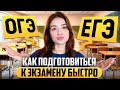 КАК ПОДГОТОВИТЬСЯ К ЭКЗАМЕНАМ? КАК СДАТЬ ОГЭ, ЕГЭ