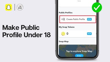 How To Make Public Profile on Snapchat Under 18? (2024 Guide)