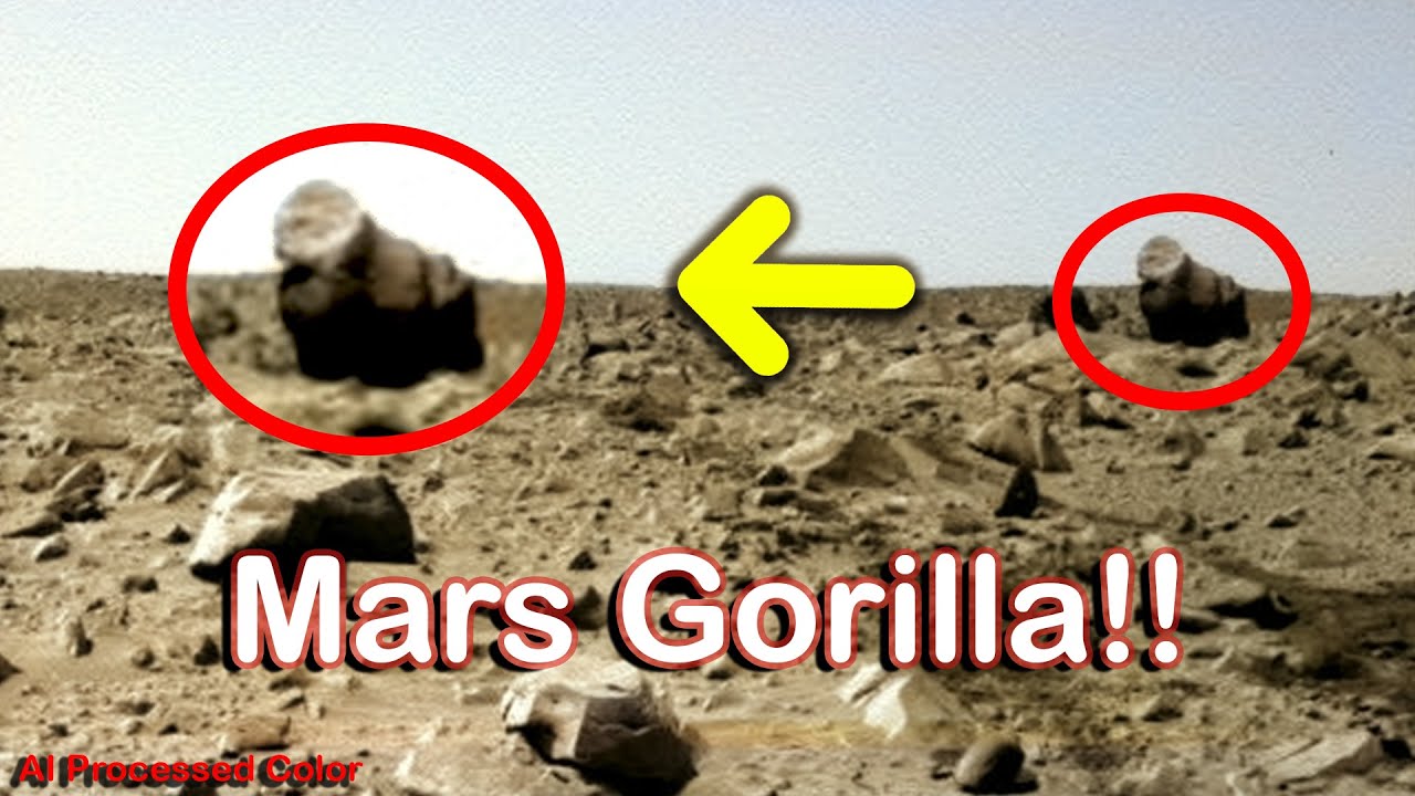 Mars Rover Found Martian Gorilla! | LIFE on Mars