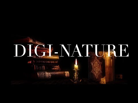 Enjoy 3 classical works of Mozart in this relaxing and tranquil playlist