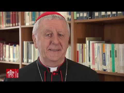 Il Vaticano raccontato